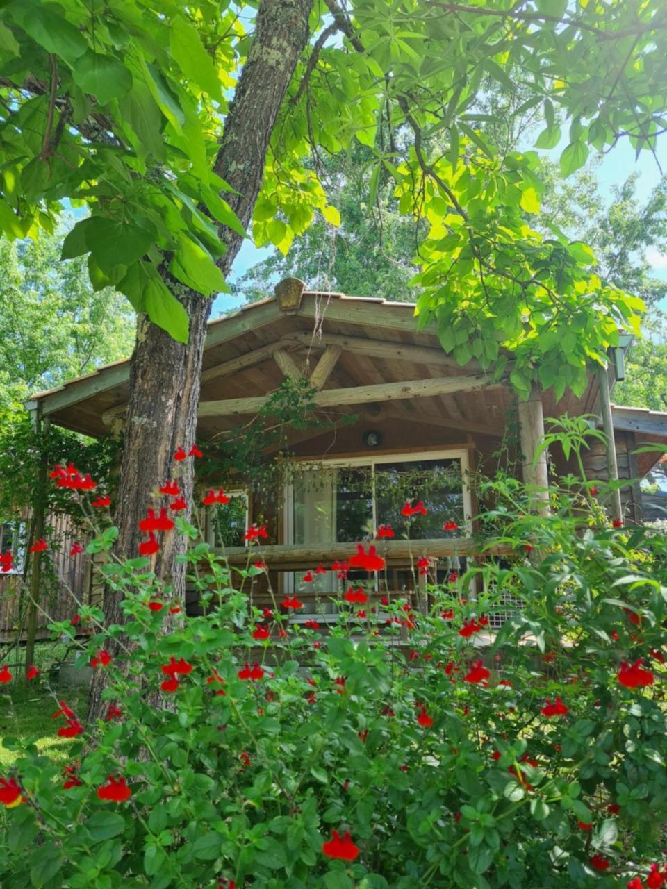 Camping Aux Couleurs Du Ferret Lege-Cap-Ferret Exterior photo
